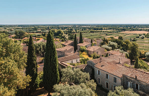 interim arles alpilles nature agricole